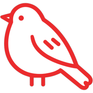 pajaro