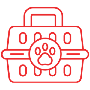transporte-perro