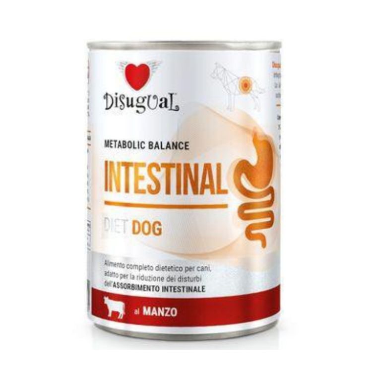 Disugual Metabolic Balance Intestinal
