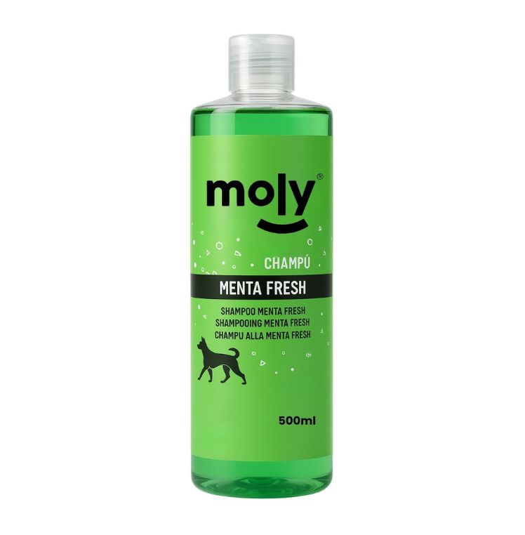 CHAMPU MENTA FRESH 250ml