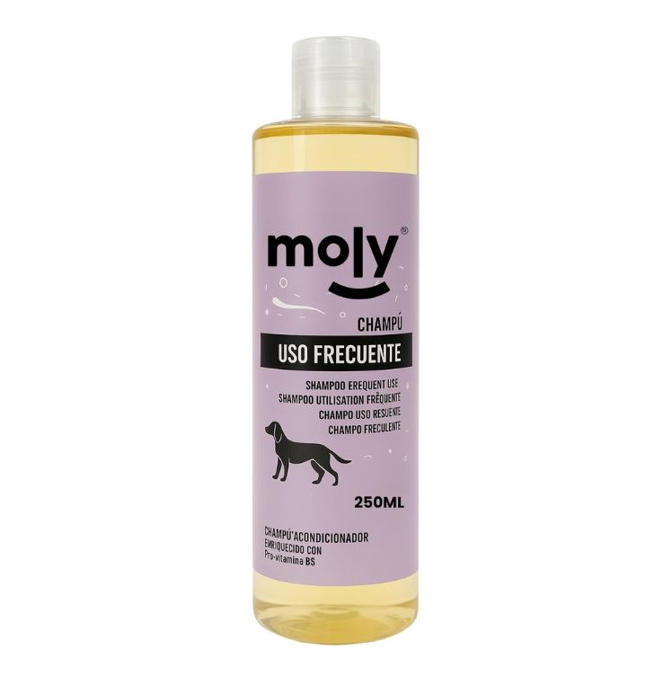 CHAMPU USO FRECUENTE 250ml