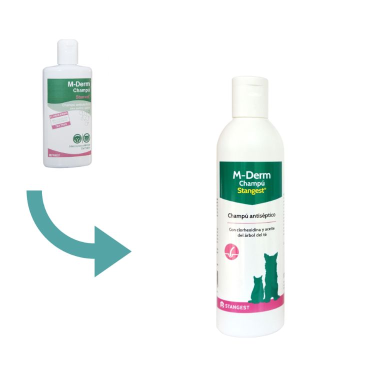 Stangest Champú M-Derm